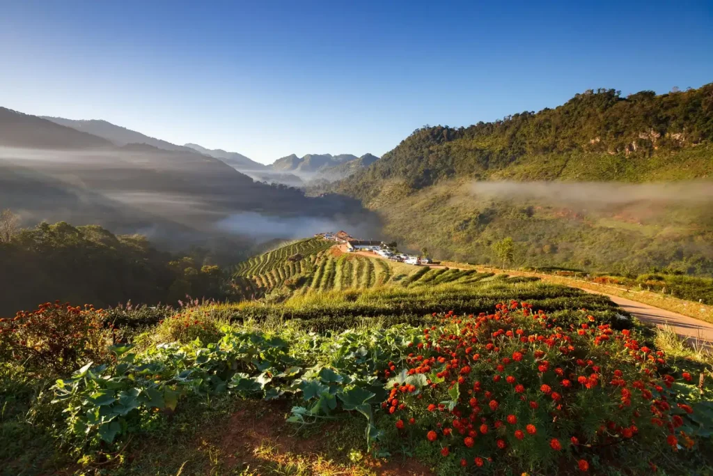 Bất động sản Đà Lạt