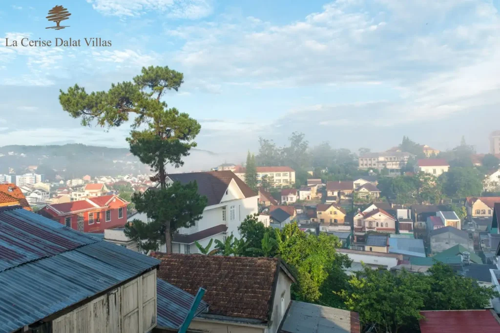 Đầu tư dự án Đà Lạt
