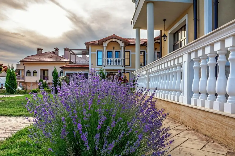 Lavender Valley