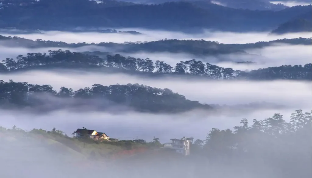 Mùa đông ở Đà Lạt