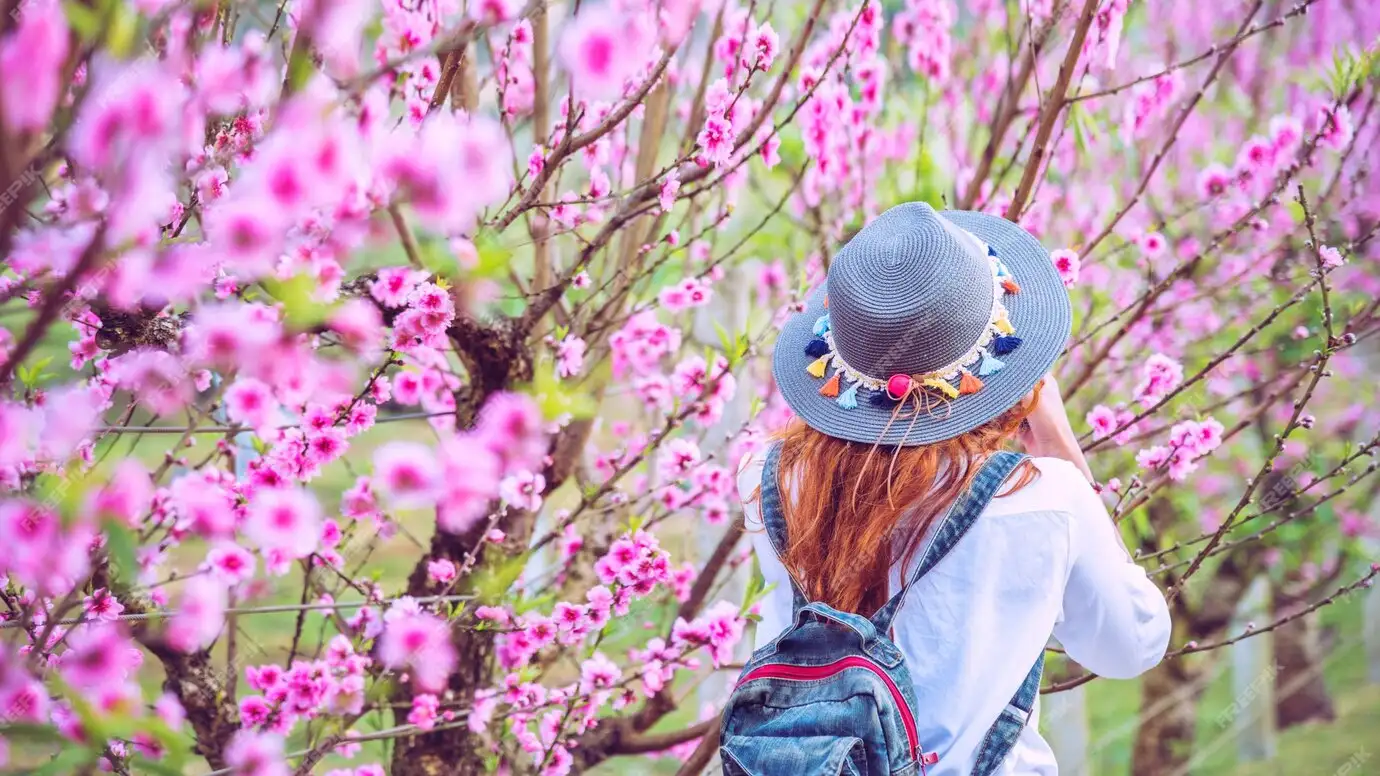 Mùa du lịch tại Đà Lạt