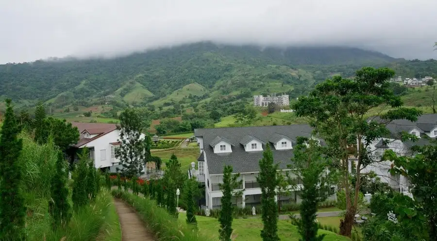 Lý do Đà Lạt trở thành điểm nóng cho giới đầu tư