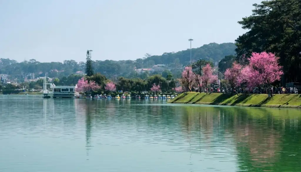 La Cerise Dalat Villas: Lựa chọn Hoàn hảo cho Người Nghỉ hưu