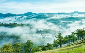Đồi Đa Phú, Phường 4, Phường 7 Đồi Đa Phú, Phường 4, Phường 7