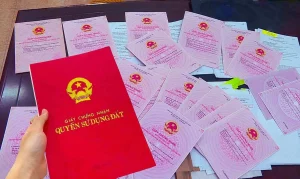 Sổ Đỏ, Sổ Hồng