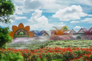 Làng hoa Vạn Thành Làng hoa Vạn Thành