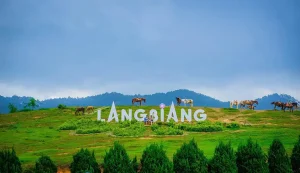 Chinh phục nóc nhà Langbiang huyền thoại