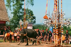 Lễ hội đâm trâu